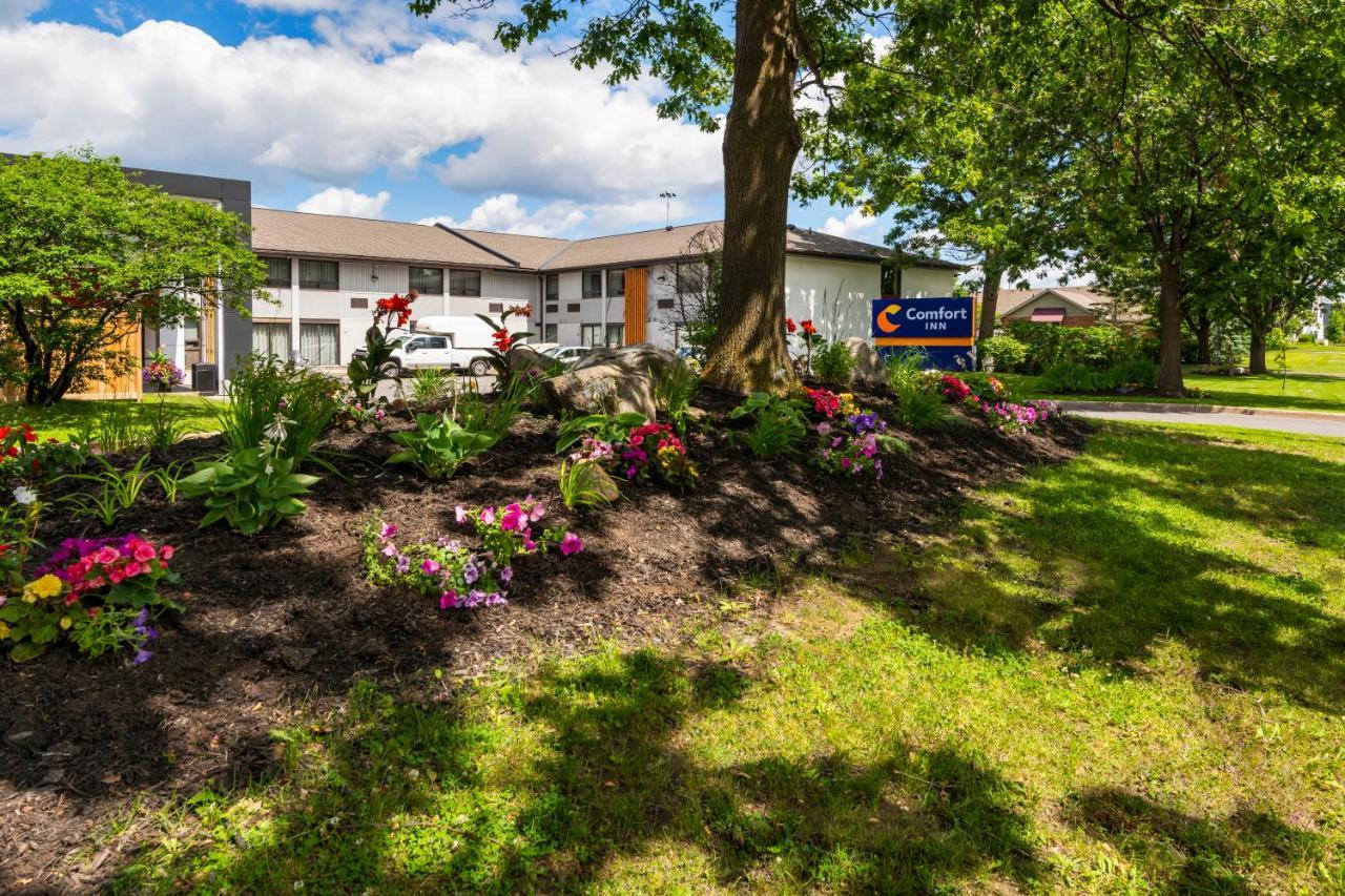Comfort Inn West Ottawa Dış mekan fotoğraf